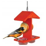 EcoCycle Orange Oriole Feeder
