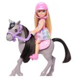Barbie Chelsea Doll  Horse Set Small