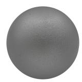 Champion Sports Iron Shot Put 8-Pound