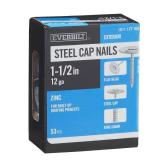 Everbilt 1-12in. Roofing Nails 53-Count