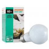 Sylvania 60W A19 Grow Light Bulb
