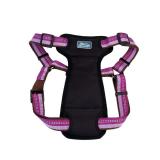 Coastal K9 Explorer X-Small Dog Harness