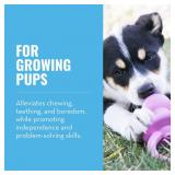 KONG Puppy Pacifier Toy Small