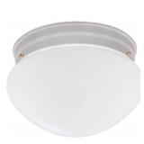DESIGNERS FOUNTAIN 9in Ceiling Light