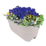 Emsco Group Bloomers 24 Rail Planter White