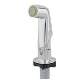 Everbilt Chrome Kitchen Side Spray