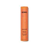 Amika Normcore Signature Shampoo 9.3 Fl Oz