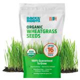 Back to the Roots Organic Wheatgrass Seeds 1lb
