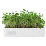 Back to the Roots Ceramic Microgreens Kit Small