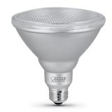 Feit Electric PAR38 LED Bulb 120W Equivalent