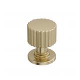 Amerock Ballard 1 Golden Champagne Cabinet Knob