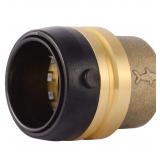 SharkBite 1-14 Brass Push-to-Connect Pipe Cap