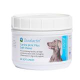 PRN Duralactin Canine Joint Plus Soft Chews 60 Ct