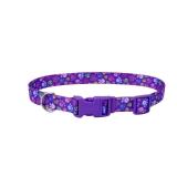 Coastal Pet Products X-Small Nylon Collar