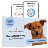 Wisdom Health Dog DNA Test Kit 1-Pack