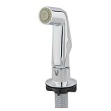 Everbilt Chrome Kitchen Side Spray