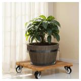 Idzo 2-Pack 12 Inch Acacia Wood Plant Caddy Dolly