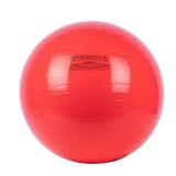 Theraband 55cm Exercise Ball Red Stability Trainer