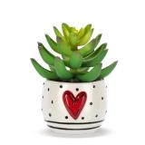 Demdaco Heartful Home Mini Succulent Heart Decor