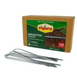 Vigoro SOD1091RR-100 Irrigation Stakes 6in 100ct