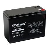 ExpertPower EXP12100 12V 10Ah SLA Battery