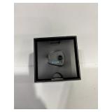 Coach Smart Goggle Display