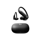 Beats Powerbeats Pro 2 Wireless Earbuds Jet Black