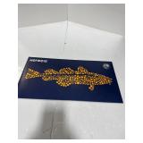 Kerecis SurgiClose Fish Skin Graft 6cm x 8cm