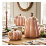 Terra Cotta Pumpkins 3pk