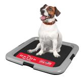 Iris USA Dog Pee Pad Holder 22x22 Tray