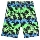 Body Glove Boys Swim Board Shorts Size 10-12