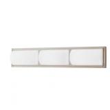 Home Decorators Bingham 24in LED Vanity Light
