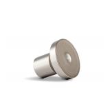 Jolie Filtered Showerhead Brushed Steel