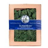 SuperMoss 23128 Reindeer Moss 120 cu in Forest