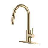 Androme 43BBBG Brushed Gold Kitchen Faucet