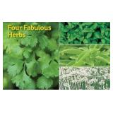 Burpee Four Fabulous Herbs Seeds