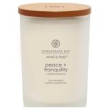 Chesapeake Bay Peace  Tranquility Jar Candle 8.8oz
