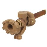Woodford 19CP-10 Wall Faucet 10-Inch