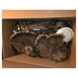 Box Lot of Turkey Fan Displays with Iridescent Fea