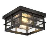 Asnxcju Modern Outdoor Ceiling Light, 2-Light