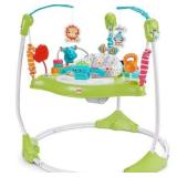 Fisher-Price Fitness Fun Folding Jumperoo