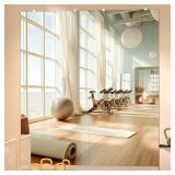 Hasipu Home Gym Mirror 71'x32' (2-Pack) Silver