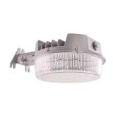 ALB 250-W LED Gray Dusk to Dawn Area Light 4000K