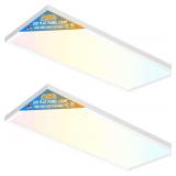 Allsmartlife 1x2 FT LED Panel Light 24W 2-Pack