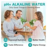 SimPure T1-400ALK Alkaline UV RO System