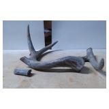 Deer Antlers and Broken Antler Section