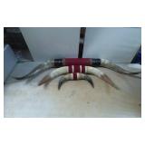 Decorative Mounted Longhorn and Animal Horns with