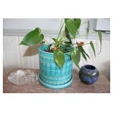 Houseplant, tray, vase & more