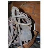 Horse Tack