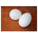 Antique Broody Eggs